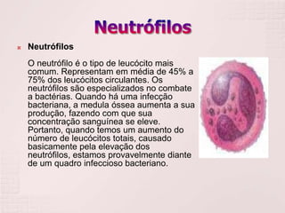    Neutrófilos
    O neutrófilo é o tipo de leucócito mais
    comum. Representam em média de 45% a
    75% dos leucócitos circulantes. Os
    neutrófilos são especializados no combate
    a bactérias. Quando há uma infecção
    bacteriana, a medula óssea aumenta a sua
    produção, fazendo com que sua
    concentração sanguínea se eleve.
    Portanto, quando temos um aumento do
    número de leucócitos totais, causado
    basicamente pela elevação dos
    neutrófilos, estamos provavelmente diante
    de um quadro infeccioso bacteriano.
 
