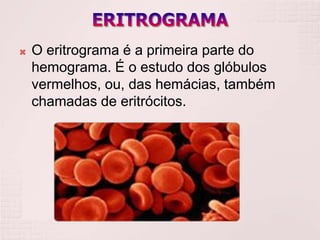    O eritrograma é a primeira parte do
    hemograma. É o estudo dos glóbulos
    vermelhos, ou, das hemácias, também
    chamadas de eritrócitos.
 