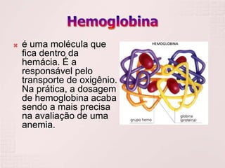    é uma molécula que
    fica dentro da
    hemácia. É a
    responsável pelo
    transporte de oxigênio.
    Na prática, a dosagem
    de hemoglobina acaba
    sendo a mais precisa
    na avaliação de uma
    anemia.
 