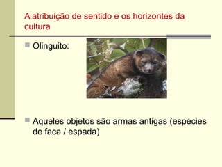 A atribuição de sentido e os horizontes da
cultura
 Olinguito:

 Aqueles objetos são armas antigas (espécies

de faca / espada)

 