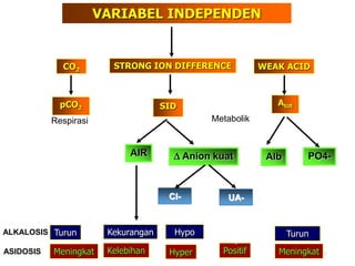 INTERPRETASI Analisa Gas Darah.ppt