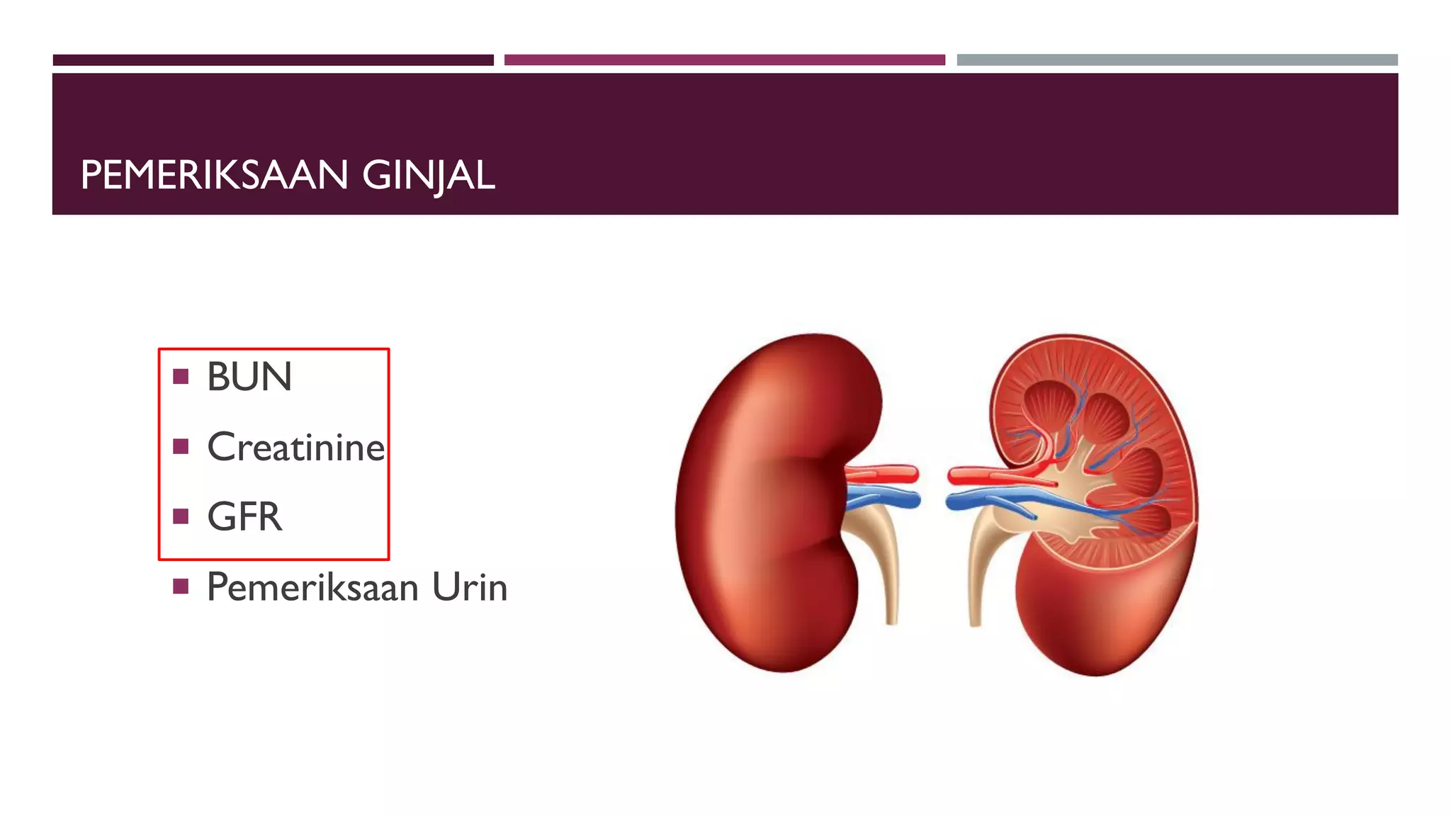 PEMERIKSAAN GINJAL
 BUN
 Creatinine
 GFR
 Pemeriksaan Urin
 