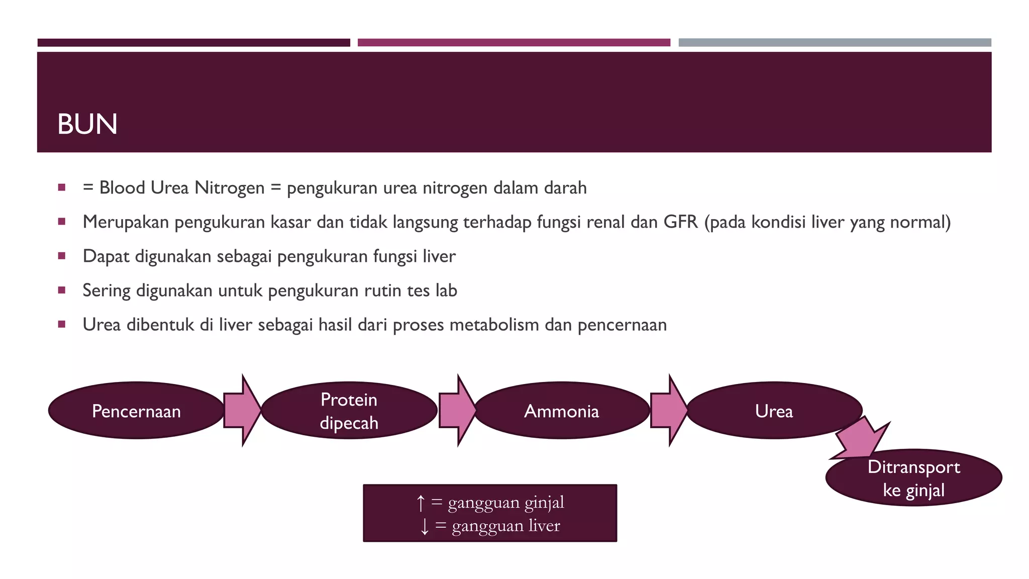 BUN
 = Blood Urea Nitrogen = pengukuran urea nitrogen dalam darah
 Merupakan pengukuran kasar dan tidak langsung terhadap fungsi renal dan GFR (pada kondisi liver yang normal)
 Dapat digunakan sebagai pengukuran fungsi liver
 Sering digunakan untuk pengukuran rutin tes lab
 Urea dibentuk di liver sebagai hasil dari proses metabolism dan pencernaan
Pencernaan
Protein
dipecah
Ammonia Urea
Ditransport
ke ginjal
↑ = gangguan ginjal
↓ = gangguan liver
 