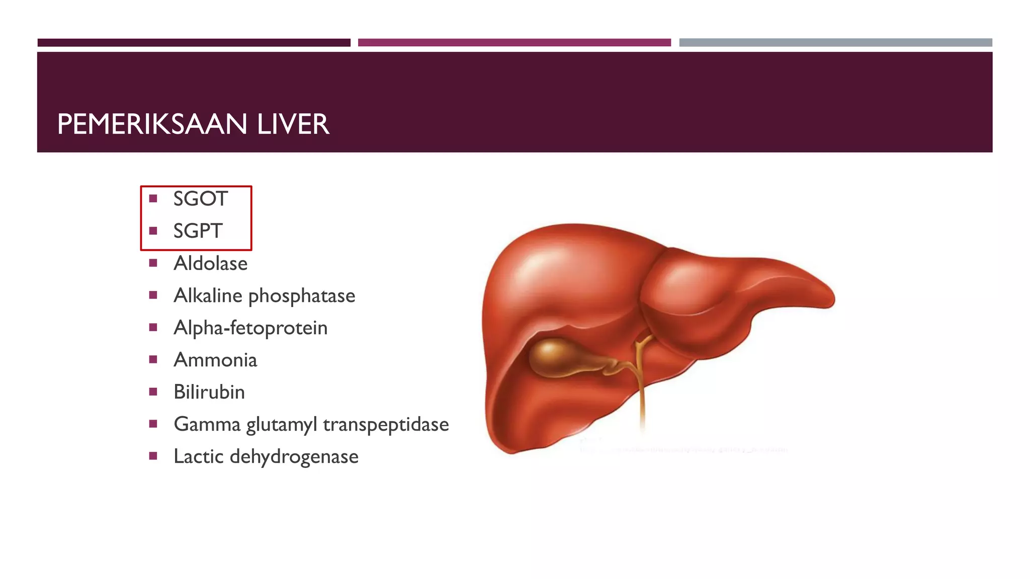 PEMERIKSAAN LIVER
 SGOT
 SGPT
 Aldolase
 Alkaline phosphatase
 Alpha-fetoprotein
 Ammonia
 Bilirubin
 Gamma glutamyl transpeptidase
 Lactic dehydrogenase
 