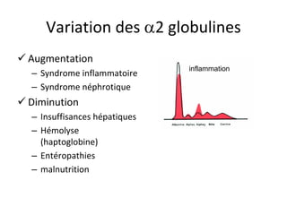 Variation des 2 globulines 
 
Augmentation 
– 
Syndrome inflammatoire 
– 
Syndrome néphrotique 
 
Diminution 
– 
Insuffisances hépatiques 
– 
Hémolyse (haptoglobine) 
– 
Entéropathies 
– 
malnutrition 
inflammation  