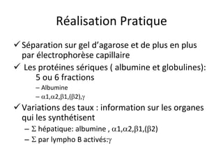 Réalisation Pratique 
 
Séparation sur gel d’agarose et de plus en plus par électrophorèse capillaire 
 
Les protéines sériques ( albumine et globulines): 5 ou 6 fractions 
– 
Albumine 
– 
1,2,1,(2), 
 
Variations des taux : information sur les organes qui les synthétisent 
– 
 hépatique: albumine , 1,2,1,(2) 
– 
 par lympho B activés:  