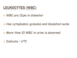 LEUKOCYTES (WBC)
 WBC are 12μm in diameter
 Has cytoplasmic granules and lobulated nuclei
 More than 10 WBC in urine is abnormal
 Indicate : UTI
 