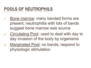 POOLS OF NEUTROPHILS
1. Bone marrow: many banded forms are
present; neutrophilia with lots of bands
suggest bone marrow was source
2. Circulating Pool: used to deal with day to
day invasion of the body by organisms
3. Marginated Pool: no bands; respond to
physiologic stimulation
 