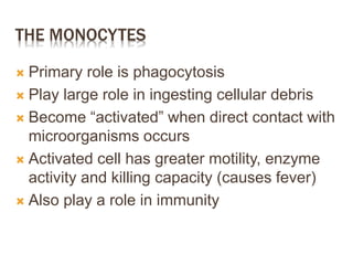 THE MONOCYTES
 Primary role is phagocytosis
 Play large role in ingesting cellular debris
 Become “activated” when direct contact with
microorganisms occurs
 Activated cell has greater motility, enzyme
activity and killing capacity (causes fever)
 Also play a role in immunity
 