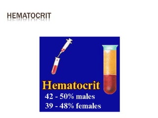 HEMATOCRIT
 