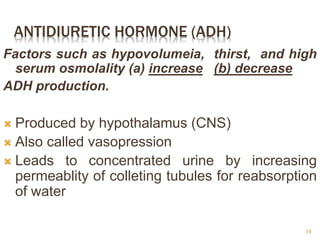 ANTIDIURETIC HORMONE (ADH)
Factors such as hypovolumeia, thirst, and high
serum osmolality (a) increase (b) decrease
ADH production.
 Produced by hypothalamus (CNS)
 Also called vasopression
 Leads to concentrated urine by increasing
permeablity of colleting tubules for reabsorption
of water
19
 