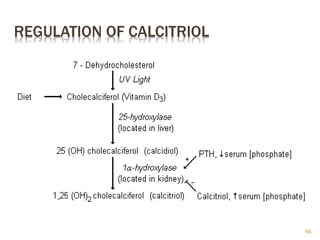 REGULATION OF CALCITRIOL
56
 