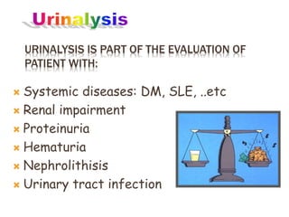 URINALYSIS IS PART OF THE EVALUATION OF
PATIENT WITH:
 Systemic diseases: DM, SLE, ..etc
 Renal impairment
 Proteinuria
 Hematuria
 Nephrolithisis
 Urinary tract infection
 
