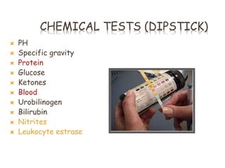 CHEMICAL TESTS (DIPSTICK)
 PH
 Specific gravity
 Protein
 Glucose
 Ketones
 Blood
 Urobilinogen
 Bilirubin
 Nitrites
 Leukocyte estrase
 