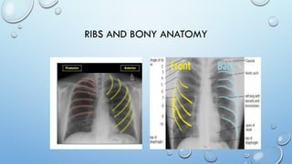 Interpretation of anatomy of chest x-ray and ct-chest.pptx