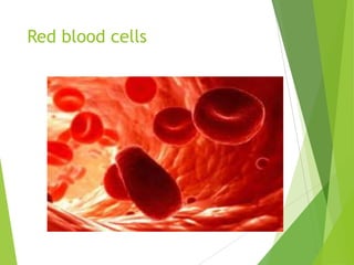 Red blood cells
 
