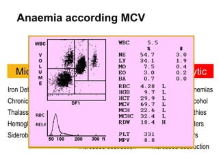 High Mcv Algorithm Interpretation of cbc | PPTX