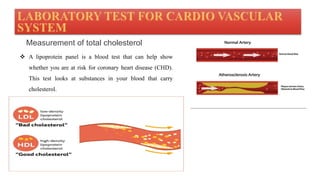 Interpretation of clinical laboratory test | PPTX