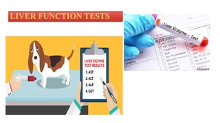 Interpretation of clinical laboratory test | PPTX