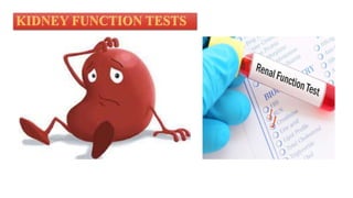 Interpretation of clinical laboratory test