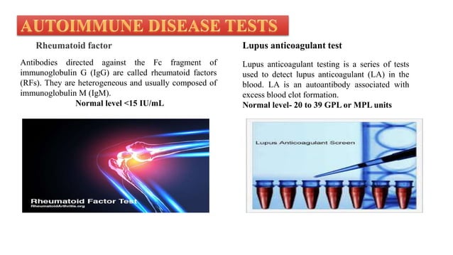 Interpretation Of Clinical Laboratory Test
