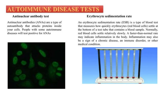 Interpretation Of Clinical Laboratory Test