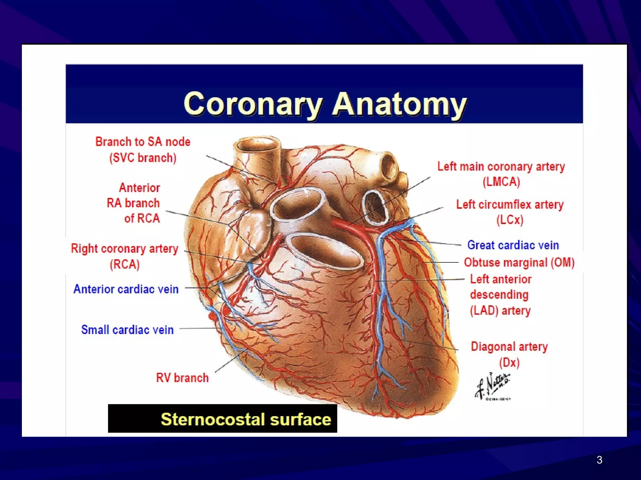 Interpretation of coronary angiogram | PPT