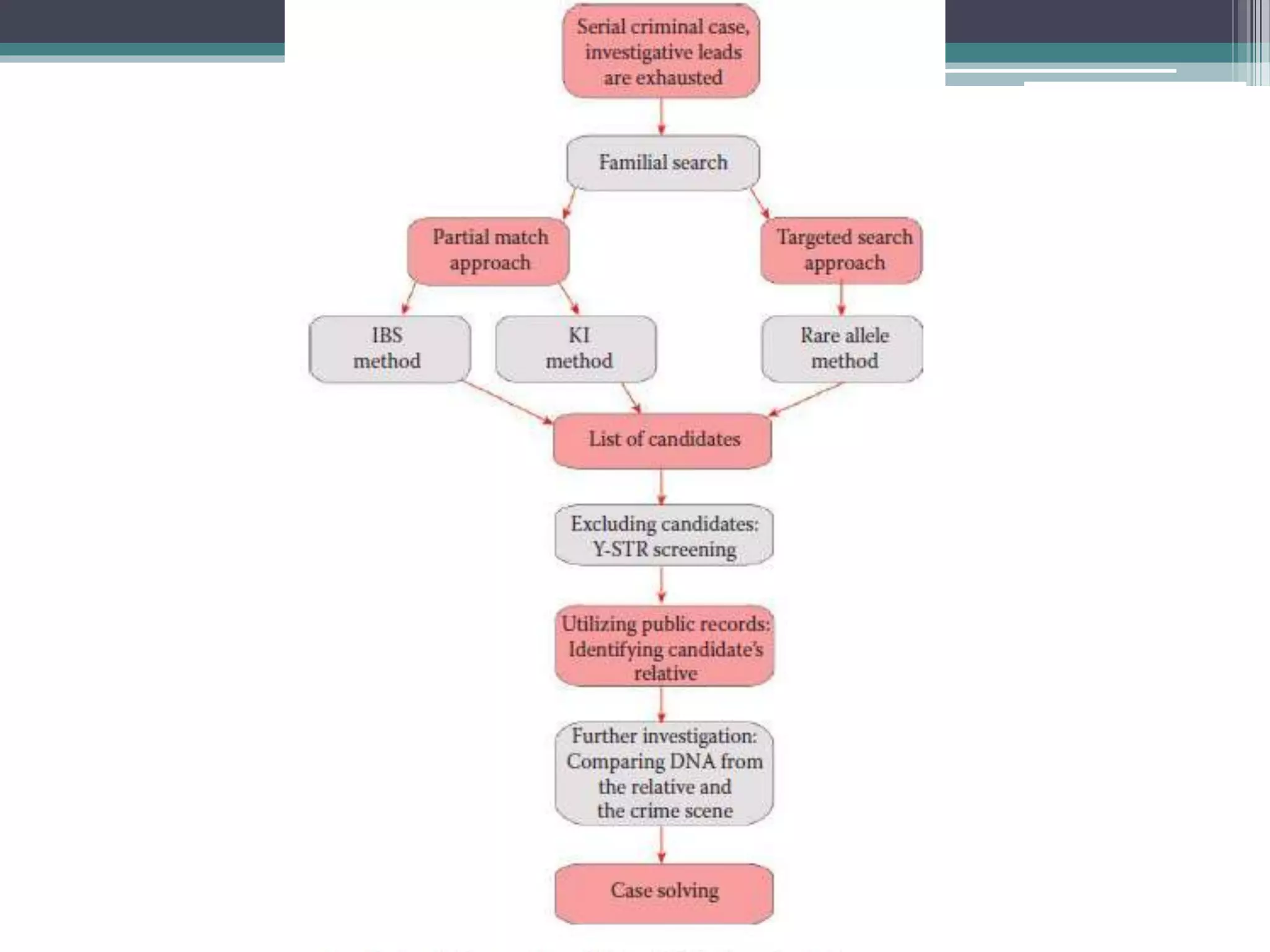 Interpretation of dna typing results and codis 