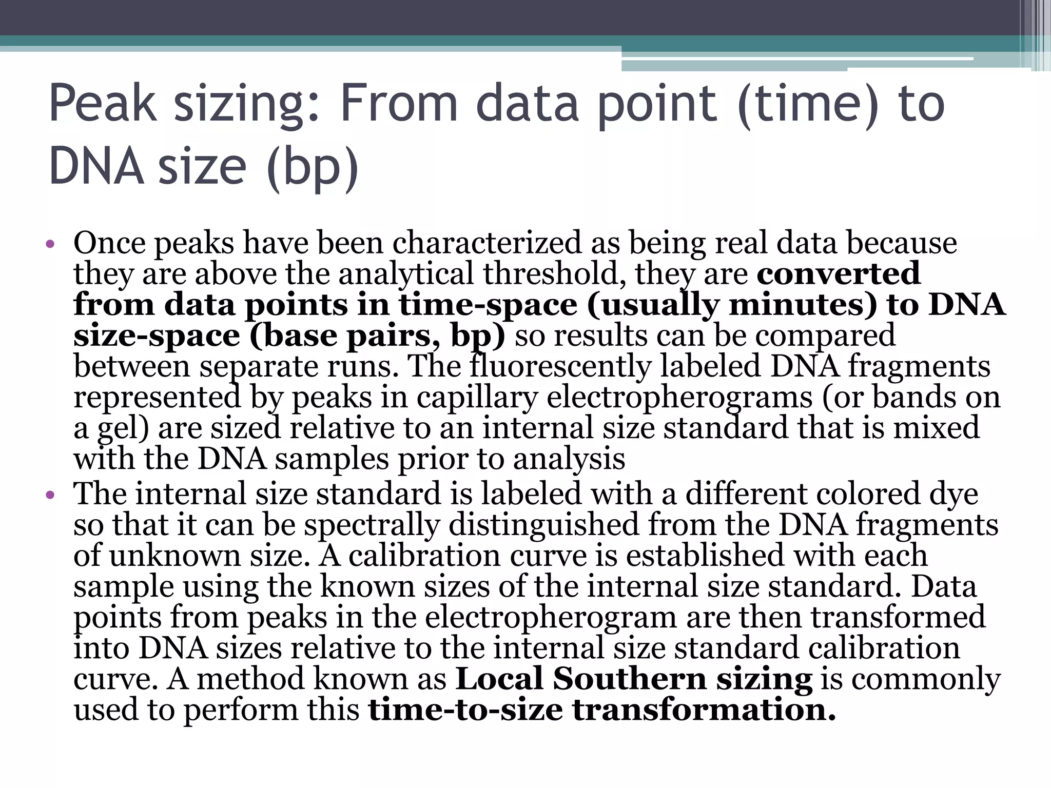 Peak sizing: From data point (time) to
DNA size (bp)
• Once peaks have been characterized as being real data because
they are above the analytical threshold, they are converted
from data points in time-space (usually minutes) to DNA
size-space (base pairs, bp) so results can be compared
between separate runs. The fluorescently labeled DNA fragments
represented by peaks in capillary electropherograms (or bands on
a gel) are sized relative to an internal size standard that is mixed
with the DNA samples prior to analysis
• The internal size standard is labeled with a different colored dye
so that it can be spectrally distinguished from the DNA fragments
of unknown size. A calibration curve is established with each
sample using the known sizes of the internal size standard. Data
points from peaks in the electropherogram are then transformed
into DNA sizes relative to the internal size standard calibration
curve. A method known as Local Southern sizing is commonly
used to perform this time-to-size transformation.
 