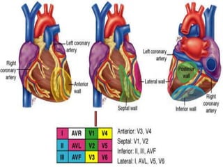 
2004 Anna Story

47

 