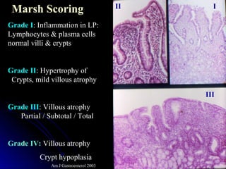 Marsh Score Interpretation of endoscopic gastrointestinal biopsy | PPT