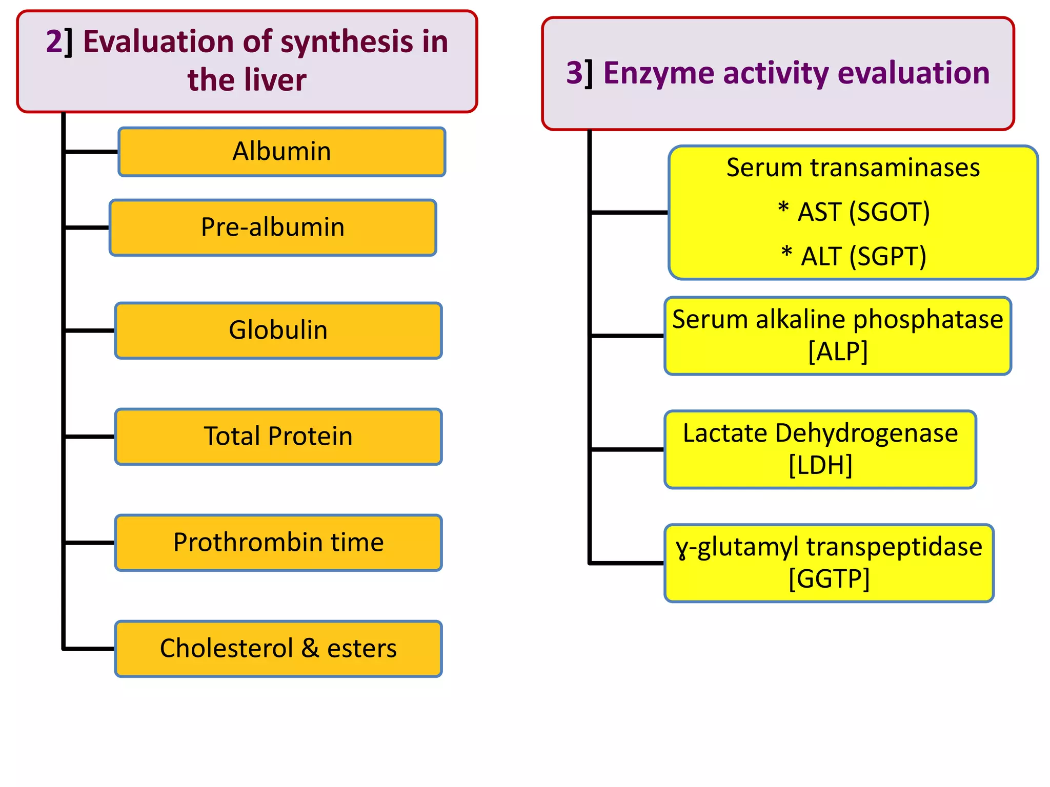 2] Evaluation of synthesis in
the liver
Albumin
Pre-albumin
Globulin
Total Protein
Prothrombin time
Cholesterol & esters
3] Enzyme activity evaluation
Serum transaminases
* AST (SGOT)
* ALT (SGPT)
Serum alkaline phosphatase
[ALP]
Lactate Dehydrogenase
[LDH]
ɣ-glutamyl transpeptidase
[GGTP]
 