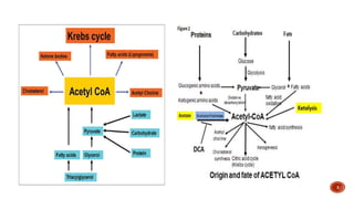 Interpretation of ketoacidosis (dka) part 2 | PPSX