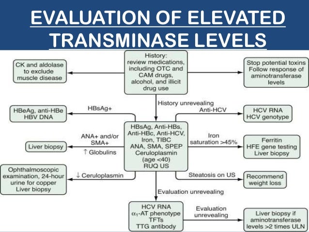 What are high liver enzymes?