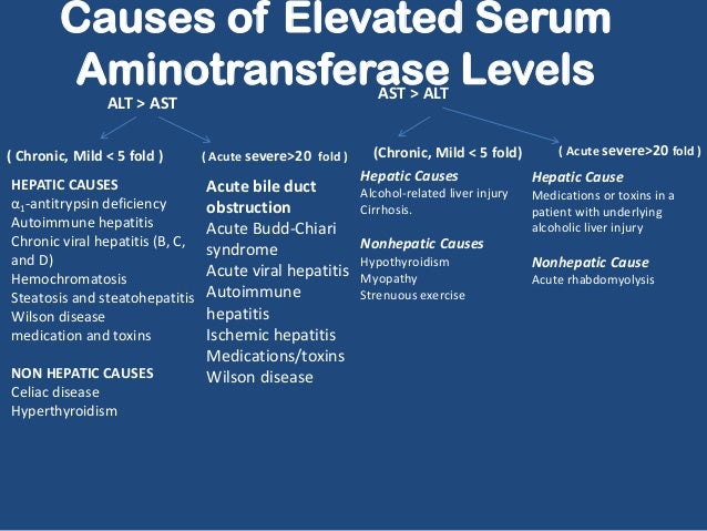 Causes And Evaluation Of Mildly Elevated Liver Autos Post