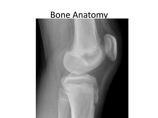 Interpretation of musculoskeletal x rays | PPTX