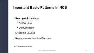 Interpretation of Nerve Conduction Study Findings | PDF
