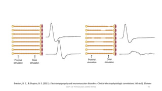 Interpretation of Nerve Conduction Study Findings | PDF