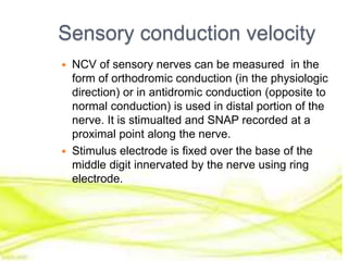 Sensory conduction velocity
 NCV of sensory nerves can be measured in the
form of orthodromic conduction (in the physiologic
direction) or in antidromic conduction (opposite to
normal conduction) is used in distal portion of the
nerve. It is stimualted and SNAP recorded at a
proximal point along the nerve.
 Stimulus electrode is fixed over the base of the
middle digit innervated by the nerve using ring
electrode.
 