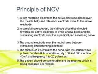 Principle of NCV
1.In that recording electrodes the active electrode placed over
the muscle belly and reference electrode distal to the active
electrode.
2.In stimulating electrode , the cathode should be directed
towards the active electrode to avoid anodal block and the
stimulating electrode over the superficial part assessing nerve
.
3.The ground electrode over the neutral area between
stimulating and recording electrode
4.The stimulator, it stimulates the nerve with the square wave
pulses ,duration 0.1ms and intensity 100 and 300 v or 5 to
40mA and frequency 1 to 20 pulse/sec.
5.The patient should be comfortable and the muscles which is
being assessed are relaxed.
 