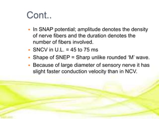 Cont..
 In SNAP potential; amplitude denotes the density
of nerve fibers and the duration denotes the
number of fibers involved.
 SNCV in U.L. = 45 to 75 ms
 Shape of SNEP = Sharp unlike rounded ‘M’ wave.
 Because of large diameter of sensory nerve it has
slight faster conduction velocity than in NCV.
 