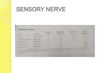 SENSORY NERVE
 