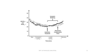 9 Panel Plot Examples Interpretation of Cardiopulmonary Exercise Testing - Nine Panel Plots | PDF