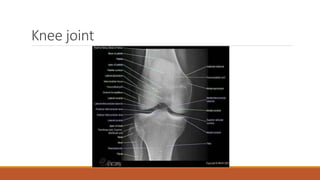 Interpretation of normal radiograph | PPTX