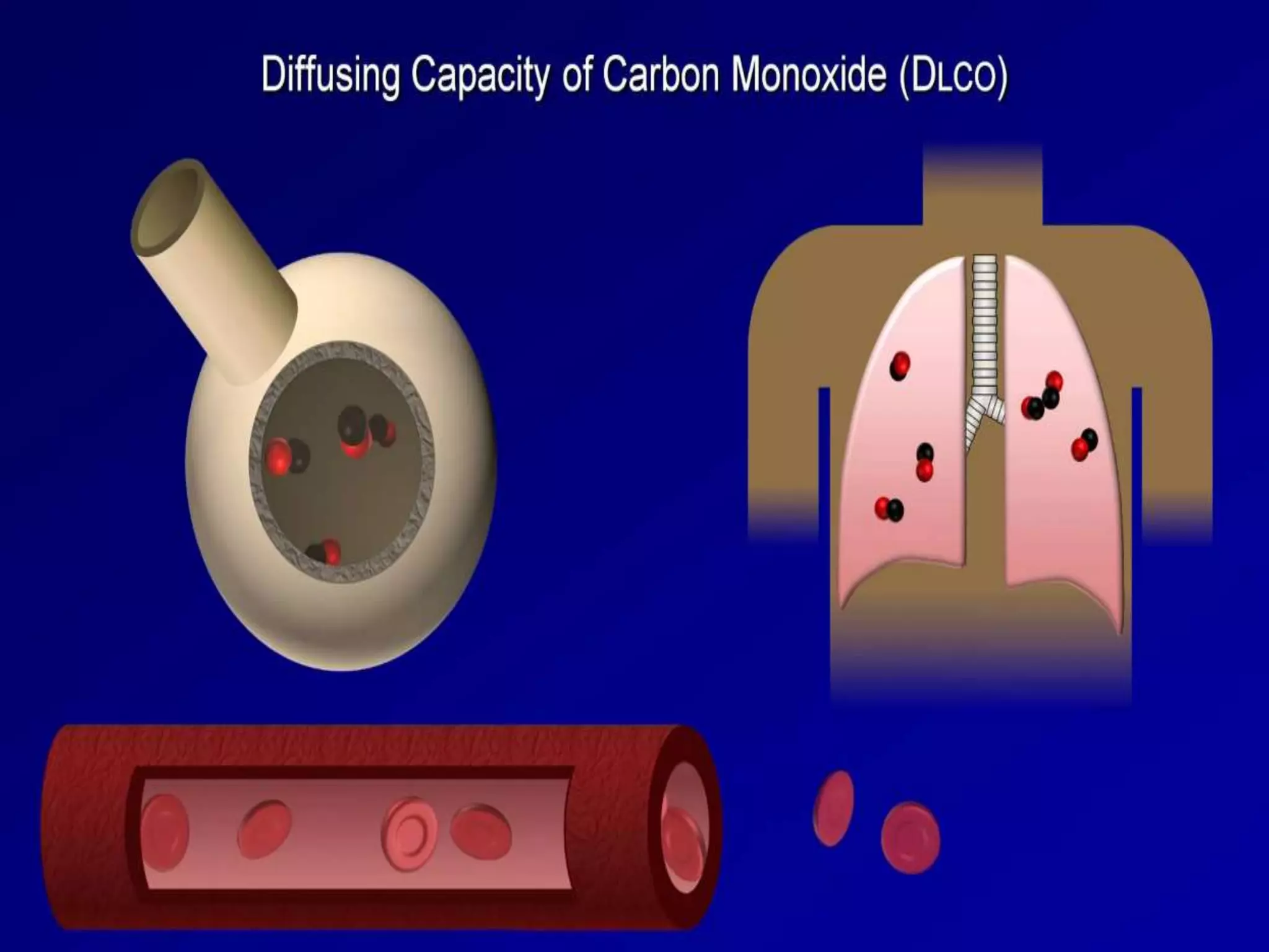 Interpretation of Pulmonary Function Test