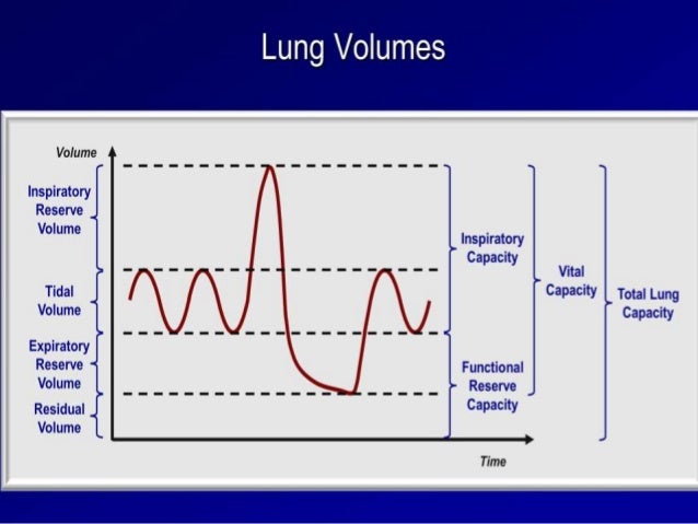 Interpretation of Pulmonary Function Test