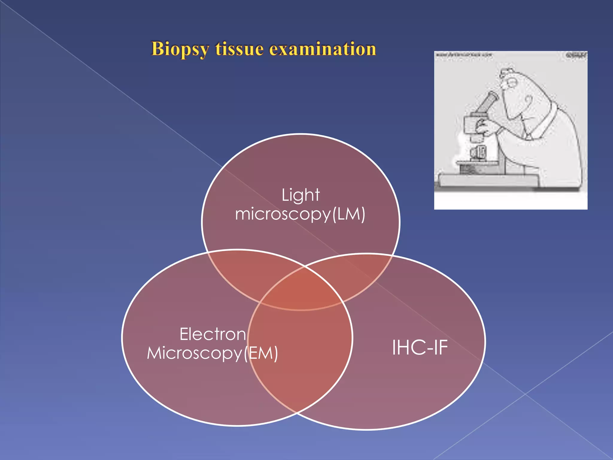 Light
microscopy(LM)
IHC-IF
Electron
Microscopy(EM)
 