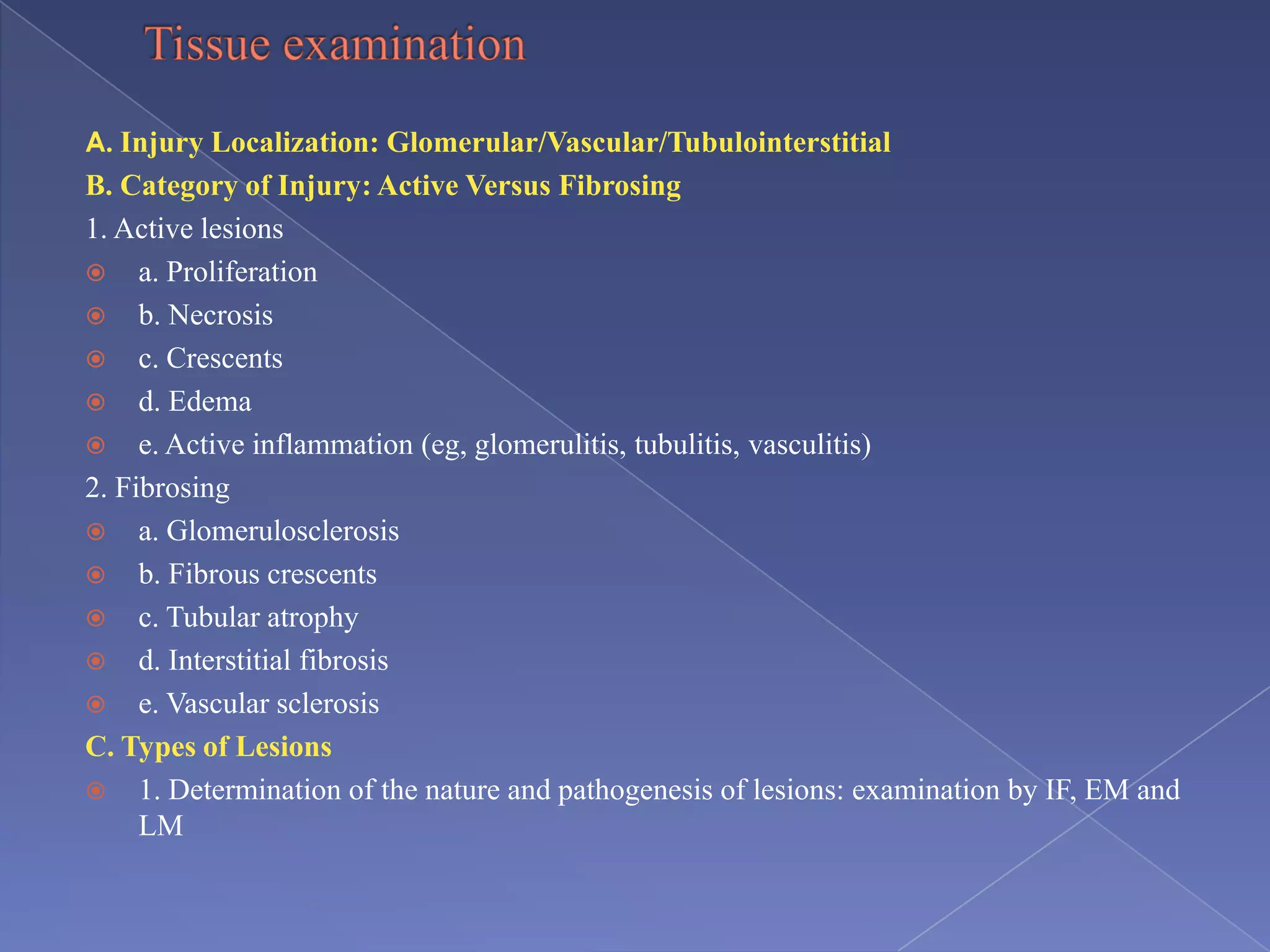 A. Injury Localization: Glomerular/Vascular/Tubulointerstitial
B. Category of Injury: Active Versus Fibrosing
1. Active lesions
 a. Proliferation
 b. Necrosis
 c. Crescents
 d. Edema
 e. Active inflammation (eg, glomerulitis, tubulitis, vasculitis)
2. Fibrosing
 a. Glomerulosclerosis
 b. Fibrous crescents
 c. Tubular atrophy
 d. Interstitial fibrosis
 e. Vascular sclerosis
C. Types of Lesions
 1. Determination of the nature and pathogenesis of lesions: examination by IF, EM and
LM
 