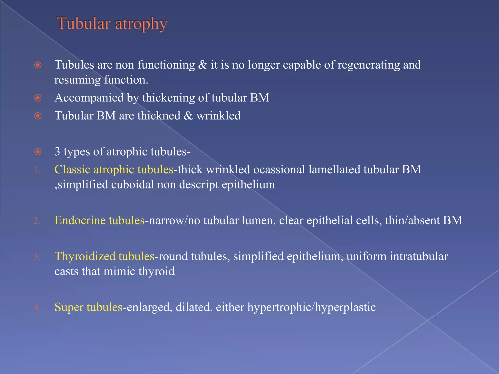  Tubules are non functioning & it is no longer capable of regenerating and
resuming function.
 Accompanied by thickening of tubular BM
 Tubular BM are thickned & wrinkled
 3 types of atrophic tubules-
1. Classic atrophic tubules-thick wrinkled ocassional lamellated tubular BM
,simplified cuboidal non descript epithelium
2. Endocrine tubules-narrow/no tubular lumen. clear epithelial cells, thin/absent BM
3. Thyroidized tubules-round tubules, simplified epithelium, uniform intratubular
casts that mimic thyroid
4. Super tubules-enlarged, dilated. either hypertrophic/hyperplastic
 