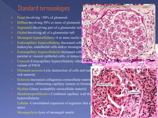 Interpretation of renal biopsy | PPTX